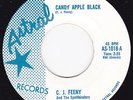 Canada Rockin Car Drag / Organ Inst  45- C. J. FEENY - Candy Apple Black / Ramby