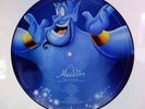 Aladdin Vinyl Picture Disc Disney Frozen The Lion King NEW Worldwide Shipping