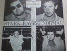 THE BLOOD STARK RAVING NORMAL EP SKINHEAD OI PUNK