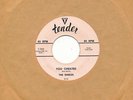 SHIELDS on Tender --YOU CHEATED-- r&b doo wop oldies 45 | US ORIG | NM 