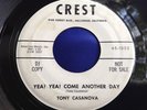 Hear Rare Rocker 45 : Tony Casanova   The Grave   Crest 45-1053 DJ Copy