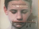 LP   -  MARIUS MÜLLER-WESTERNHAGEN =  IN DEN WAHNSINN  ( 2 RECORDS - SET )