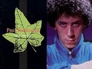 PAUL HARDCASTLE Rain Forest 1985 UK 12