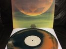 The Contortionist Language Vinyl LP exoplanet intrinsic between the buried botch