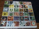 Perl Jam LP Record NO CODE Epic Stereo E67500