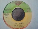 ROOTS INT'L Orig. JA BB SEATON Is Life 1978 MINT KILLER 