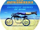 JOE BONAMASSA-DIFFERENT SHADES OF BLUE (LTD.PICTURE DISC)-VINYL LP MASCOT L NEW