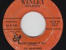 Doo-Wop 45 - Persuaders - What Could It Be? - Winley - mp3