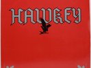 HAWKEY LP RARE PRIVATE Hard Rock Ted Nuget / Foghat NM Hear