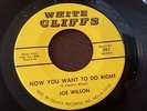 JOE WILSON Now You Want To Do Right Sam Sam The Money Man WHITE CLIFFS 281 MP3