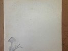 The Organic Experience private psych experimental LP Maine 1970