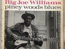 Big Joe Williams Piney Wood Blues Vintage Vinyl