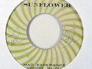 Reggae 45   Anthoney Madden   Mad Experience   Sunflower   mp3