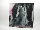 Killdozer ?– For Ladies Only, Colored Vinyl 5 x 7