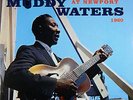 MUDDY WATERS At Newport 1960 - VINYL LP RECORD Brand New
