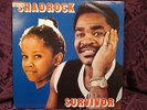 SHADROCK RARE SURVIVOR LP / PRIVATE CANADIAN BOOGIE SOUL FUNK NICE BREAKS