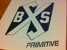 Boston strangler Primitive 12