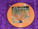 SLAYER -Hell awaits-  rare limited numbered Picture Disc 