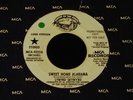 Lynyrd Skynyrd-Sweet Home Alabama-ORIG. 1974 SOTS PROMO Long/Short 45-CLEAN