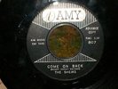 DOO WOP 45 THE SHEIKS 