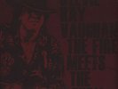 Stevie Ray Vaughan - Fire Meets The Fury Vinyl EU 2LP