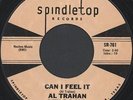 Hey Girl / Can I Feel It by Al Trahan (7