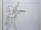 TORTOISE -  TNT * LP VINYL MINT CONDITION * CITY SLANG * FREE POSTAGE IN UK *