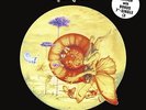 Nektar - Remember the Future