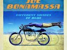JOE BONAMASSA - DIFFERENT SHADES OF BLUE: VINYL ALBUM