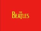The Singles Box Set [Box] by The Beatles (Vinyl, Nov-2011, Apple (USA))