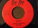 Private Property of Digil Wisconsin Rock 45 Sunshine Flames Rare Tee Pee Garage