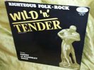 DANE STURGEON Wild & Tender '67 Outsider DiY PRIVATE FOLK PSYCH Acid Archives NM