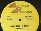 Pinchers - Young Fresh And Green KILLER RARE DIGI