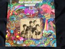 FLAT EARTH SOCIETY WALEECO LP ALBUM ORIGINAL FLEETWOOD LP TRU FIDELITY PSYCH 68