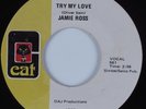 Funk 45 JAMIE ROSS Try My Love CAT HEAR