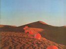 The Nice(Vinyl LP Gatefold 2nd State)Elegy-Charisma-CAS 1030-UK-Ex/Ex