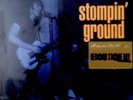 Rory Gallagher Stompin' Ground