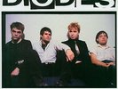 DIODES Time/ Damage LP AMERICAN LOST PUNK ROCK NUGGETS VOL 60 IMPORT VINYL