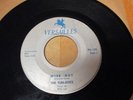 DOOWOP: The Funatics Wise Guy great group 45 on Versailles mp3