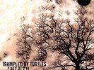 DULUTH - TRAMPLED BY TURTLES [VINYL NEW]