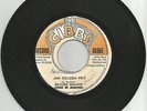 SILFORD WALKER / JAH GOLDEN PEN / DUB / 7''/ VG+