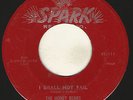GREAT DOO WOP 1ST PRESS 45 BY 