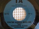 THIRTEENTH FLOOR ELEVATORS You're Gonna Miss Me Roky Erickson Orig IA 107 45 VG+