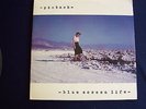 RARE Pinback Blue Screen Life double LP Ace Fu records Clear Vinyl 2001 Indie
