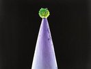 peter gabriel - new blood (LP NEU) 5099967855216