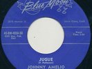 Rockabilly Johnny Amelio & Downbeats 45 