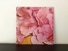 STILL LIFE SAME ORIG UK VERTIGO SWIRL MONSTER RARE PROG PSYCH LP TOP COVER