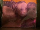 Siamese Dream by Smashing Pumpkins (Vinyl, Nov-2011, 2 Discs, Virgin)