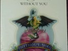 Motley Crue Without You 7