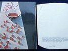 The Beatles, PAUL McCARTNEY ‘McCARTNEY’ 1970 ORIGINAL UK APPLE RECORDS LP.